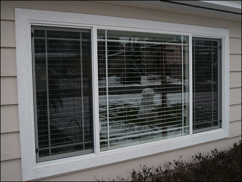 Window Replacement